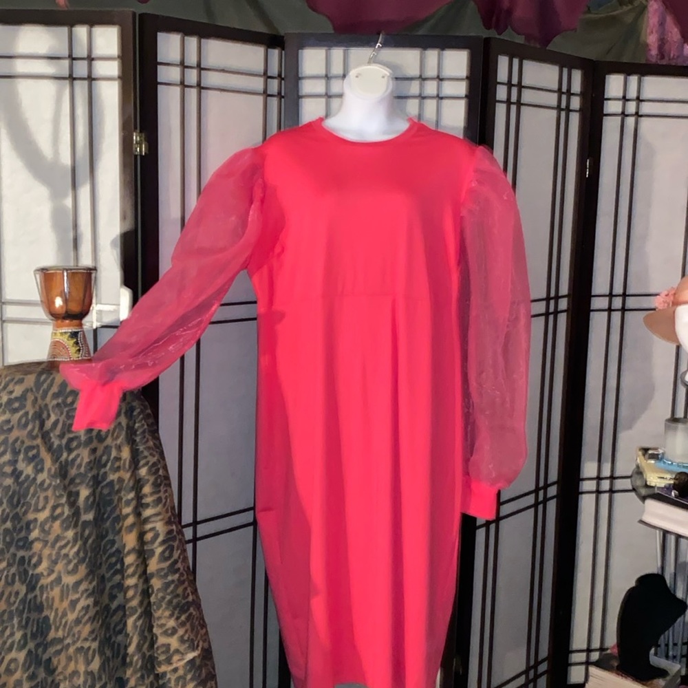 Shear sleeve pink dress